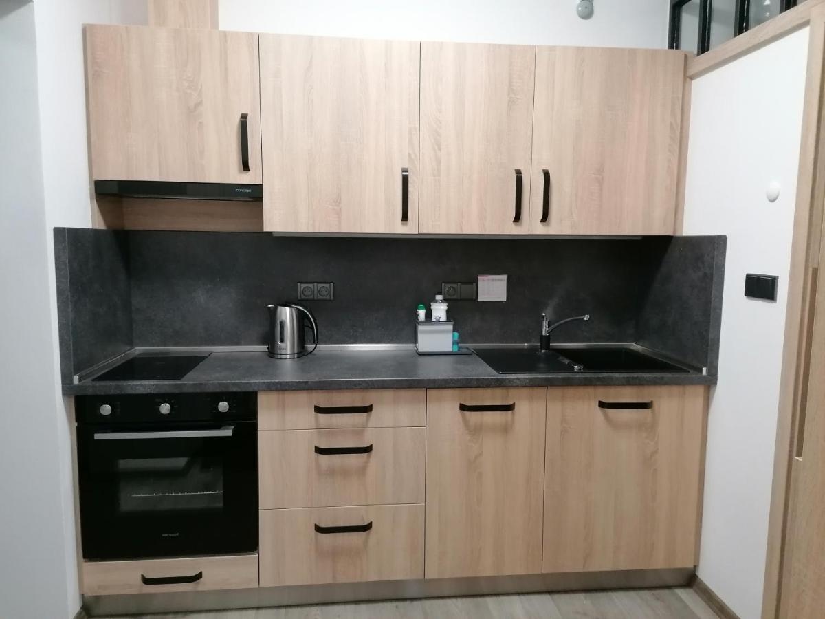 Apartman 88 Červená Voda Extérieur photo